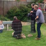 Fairbrother Farm On Channel 5 Bunnies